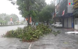 Cảnh báo mưa lớn cục bộ, lốc, sét, mưa đá, gió giật mạnh ở Thanh Hóa từ 24 - 26/7