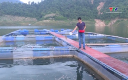 Hơn 15.600 hộ dân được vay vốn chương trình sản xuất, kinh doanh tại vùng khó khăn