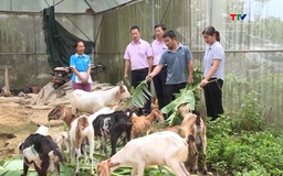 Nâng cao hiệu quả của tín dụng chính sách xã hội trong giai đoạn mới