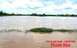 Chủ động ứng phó với mưa lớn, nguy cơ xảy ra lũ,  ngập lụt, lũ quét, sạt lở đất