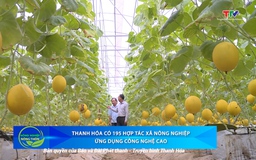 Bản tin Nông nghiệp – Nông thôn 26/7/2025