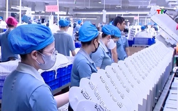 Kinh tế Việt Nam vững vàng trong năm 2025 và 2026