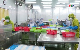 Hỗ trợ cấp 20 giấy xác nhận nguồn gốc nguyên liệu thuỷ sản qua cảng