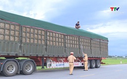 Tổng kiểm tra xe kinh doanh vận tải, tàu thuyền trên toàn quốc