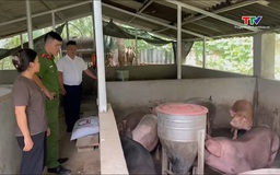Xã Phú Xuân tăng cường kiểm tra, kiểm soát phòng, chống dịch tả lợn Châu Phi