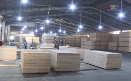 Đảm bảo sức khỏe người lao động trong mùa hè