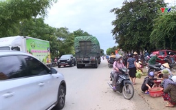 Nâng cao trách nhiệm người đứng đầu trong công tác đảm bảo an toàn giao thông