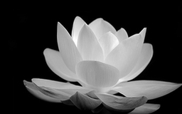 LỜI CẢM ƠN 