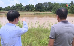 Bốn tại chỗ trong phòng chống thiên tai