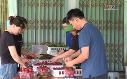 Nâng tầm thương hiệu nông sản Thanh Hóa