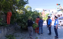 Bảo vệ kết cấu công trình giao thông