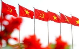 Công bố Dự thảo Báo cáo chính trị trình Đại hội đại biểu Đảng bộ tỉnh lần thứ XX