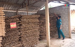 Xã Kim Tân: Kiểm tra rà soát công trình phòng chống lũ lụt