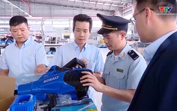 6 tháng đầu năm, Hải quan thu ngân sách trên 222 nghìn tỷ đồng