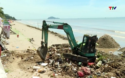 Xuất hiện nhiều bèo trôi trên các khu vực bãi tắm Hải Tiến