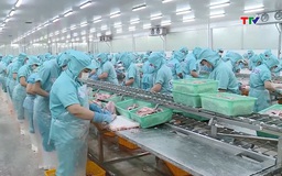 Xuất khẩu nông, lâm, thuỷ sản 6 tháng tăng 14%
