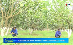 Bản tin Nông nghiệp Nông thôn ngày 9/7/2025