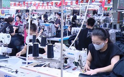 Gần 81% doanh nghiệp tin tưởng và kỳ vọng vào quý III