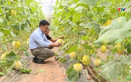 Ứng dụng khoa học kỹ thuật, nâng cao giá trị cây trồng