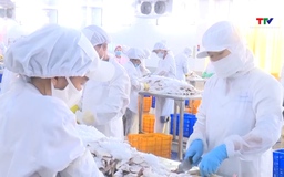 Xuất khẩu hàng hóa  tăng trưởng tích cực