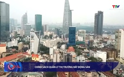 Bản tin Tài chính - Thị trường 1/8/2025