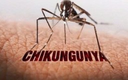 Tăng cường phòng, chống bệnh Chikungunya trên địa bàn tỉnh Thanh Hóa 