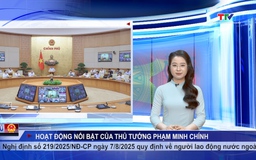 Bản tin Chính phủ tuần qua ngày 11/8/2025