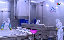 Doanh nghiệp thích ứng với chính sách thuế quan của Mỹ