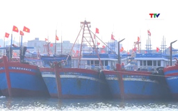 Thanh Hóa: Hơn 9 tỷ đồng nâng cấp cảng cá, khu neo đậu tàu thuyền