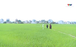 Ứng dụng công nghệ xanh trong sản xuất nông nghiệp