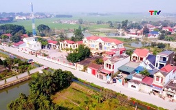 Tháng Tám trên những vùng quê cách mạng
