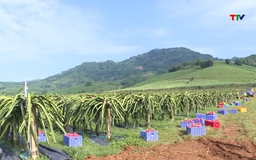 Tiêu thụ nông lâm thủy sản của Việt Nam tích cực