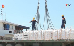 Phấn đấu tăng trưởng xuất khẩu năm 2025 đạt 12%