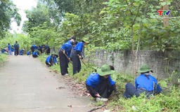Thanh niên tình nguyện hè - Cống hiến từ những điều giản dị