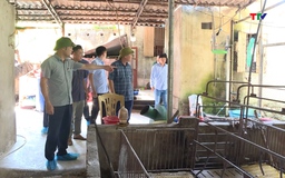 Sở Nông nghiệp và Môi trường kiểm tra công tác phòng chống dịch tả lợn châu Phi