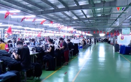 Tổng điều tra kinh tế từ 05/01/2026