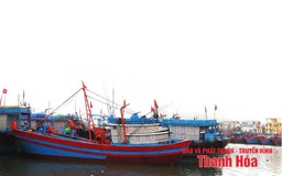 Thanh Hoá thực hiện cấm biển từ 8 giờ sáng ngày 24/8