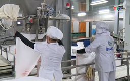 Xuất nhập khẩu giữ đà tăng trưởng 