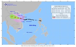 Bão số 5 chỉ còn cách Nghệ An 185km