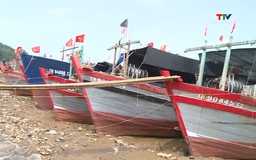 Tập trung kêu gọi tàu thuyền vào tránh, trú bão số 5