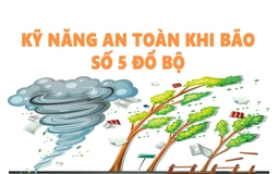 [Infographic] Kỹ năng an toàn khi bão số 5 đổ bộ