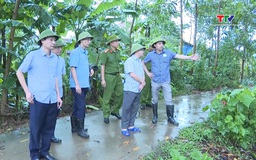 Xã Tân Ninh chủ động ứng phó với bão số 5