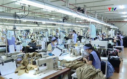Thị trường trong nước: trụ cột mới cho ngành dệt may Việt Nam