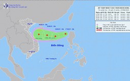 Tin Áp thấp  nhiệt đới trên Biển Đông