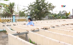 Hiệu quả hoạt động của Quỹ hỗ trợ phát triển hợp tác xã 