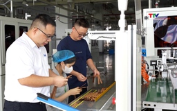 Nỗ lực vượt khó, tăng trưởng sản xuất kinh doanh