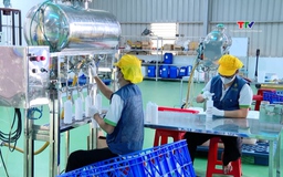 Đưa hơn 87.200 sản phẩm lên sàn thương mại điện tử