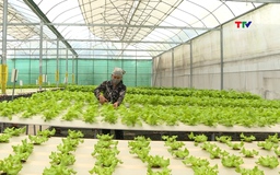 Mục tiêu 30% doanh nghiệp áp dụng truy xuất nguồn gốc