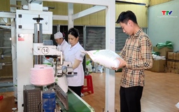 Doanh nghiệp xuất khẩu nông sản gặp khó vì quy định hoàn thuế