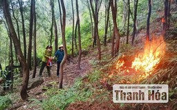 Tăng cường thực hiện nhiệm vụ, giải pháp bảo vệ rừng và phòng cháy, chữa cháy rừng